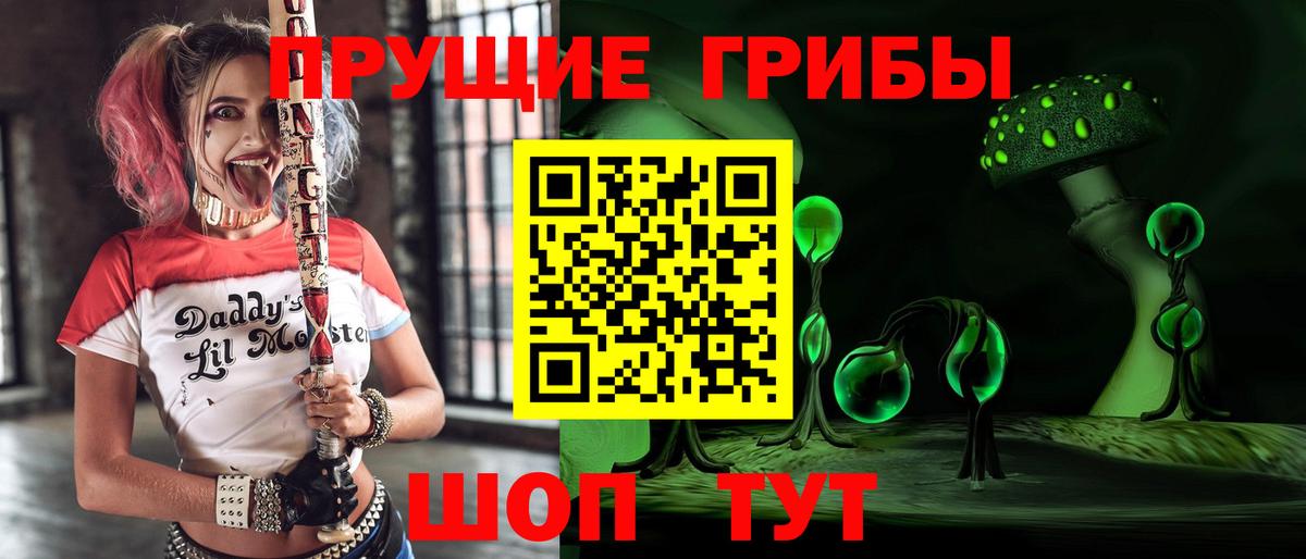 Галлюциногенные грибы мухоморы Волоколамск